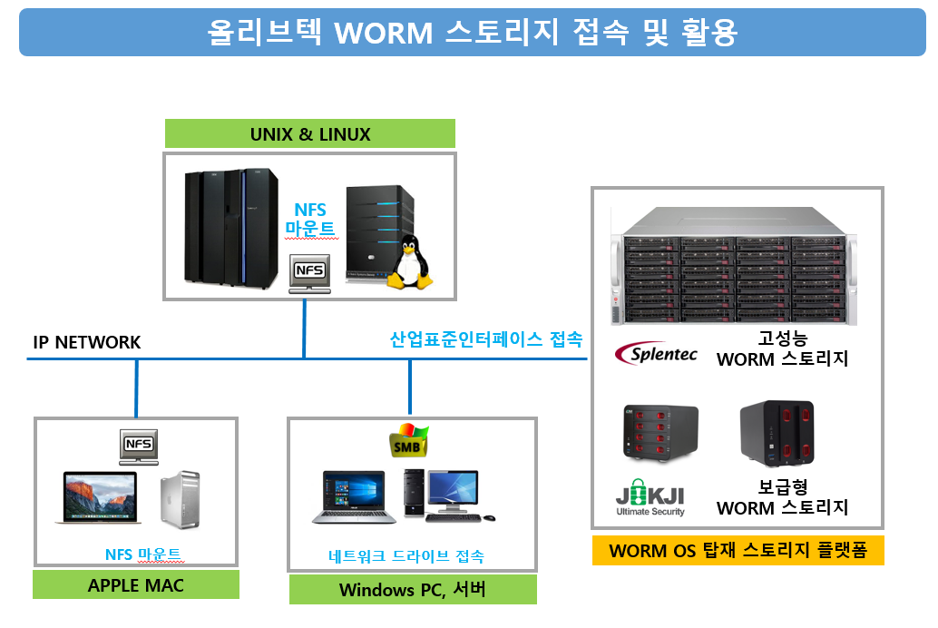 worm_overview_4.png